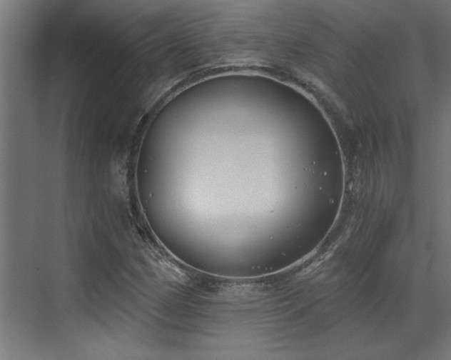 X0000072931162200607211119