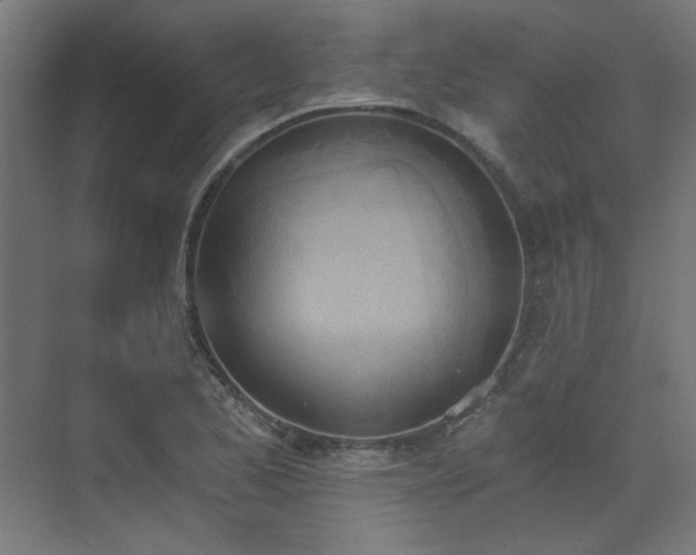X0000072931173200607211119