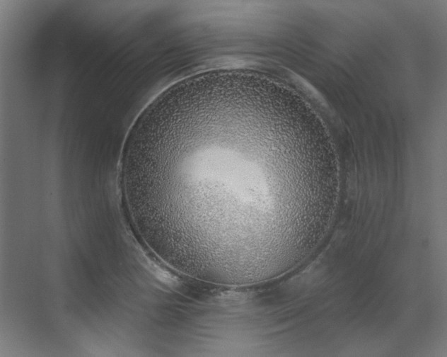 X0000072931178200607211119