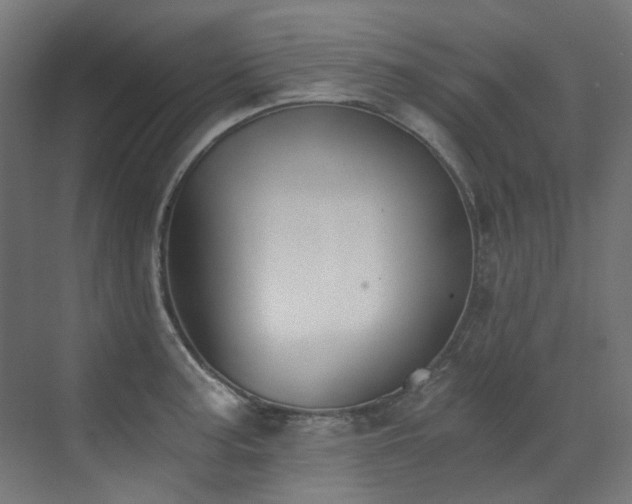 X0000072931187200607211119