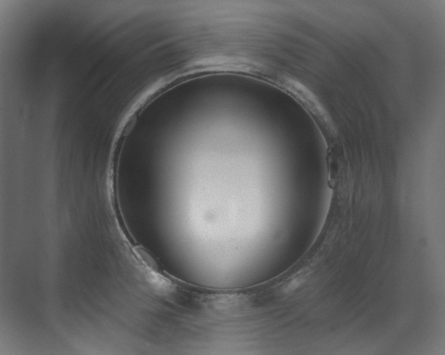 X0000072931188200607211119