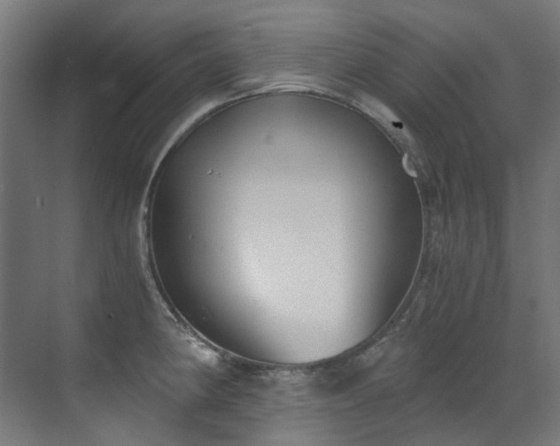 X0000072931190200607211119