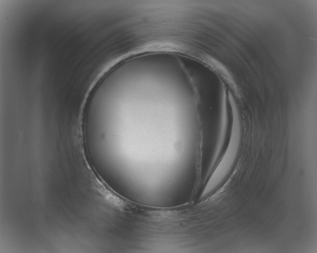 X0000072931192200607211119