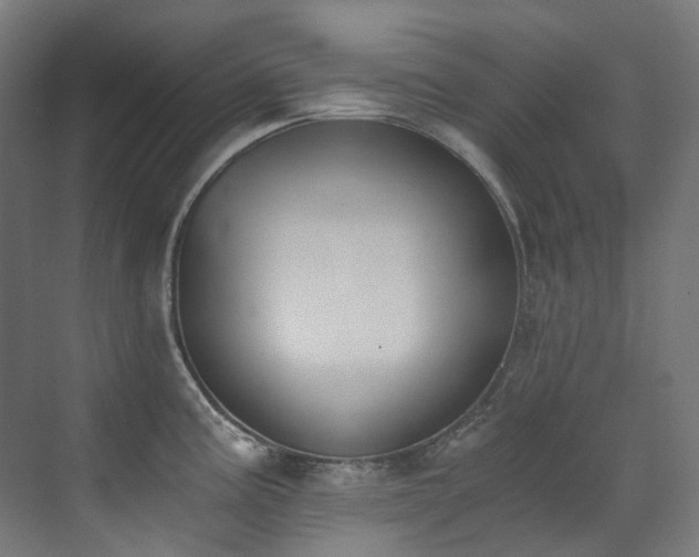 X0000072931195200607211119