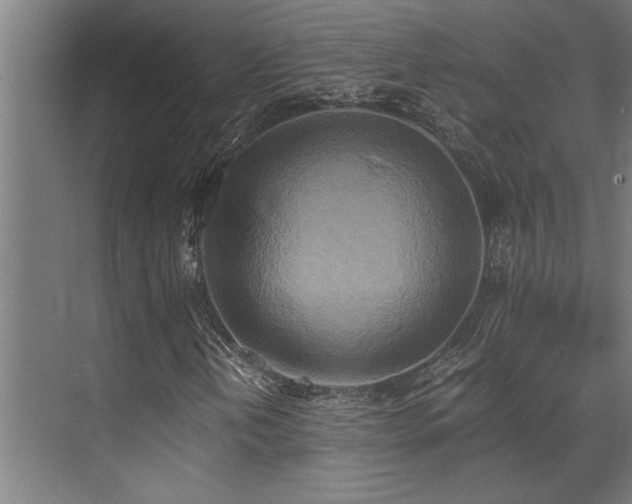 X0000072931202200607211118