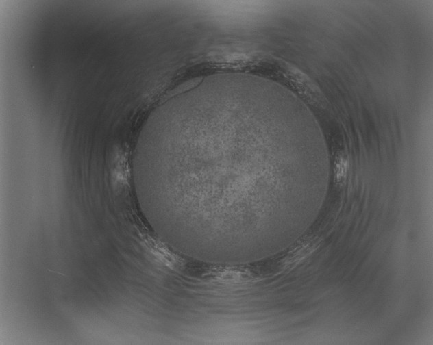X0000072931204200607211118