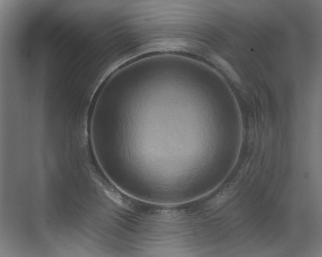 X0000072931226200607211118