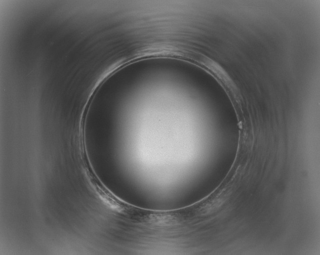 X0000072931242200607211119