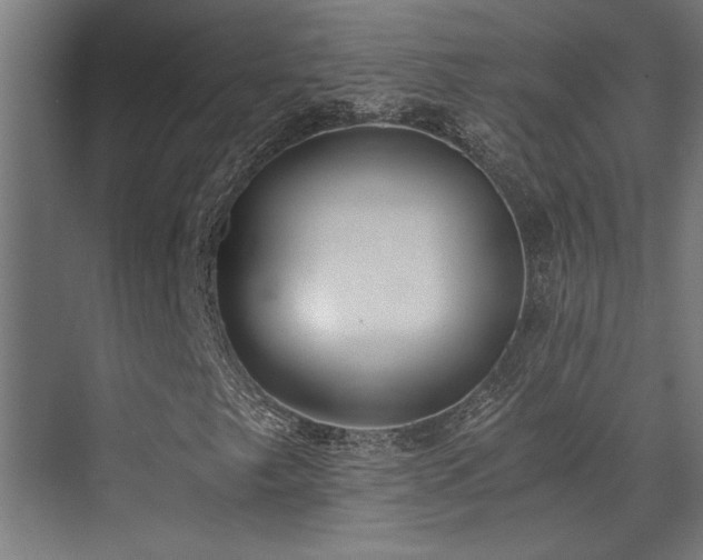 X0000072931249200607211118