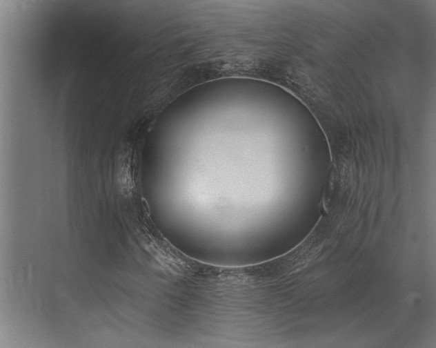 X0000072931250200607211118