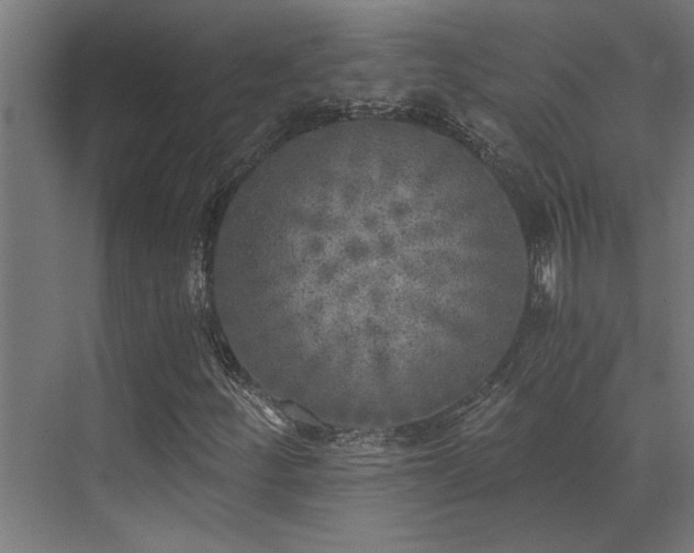 X0000072931252200607211118