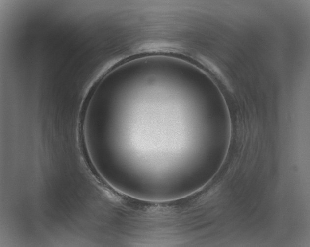X0000072931277200607211117