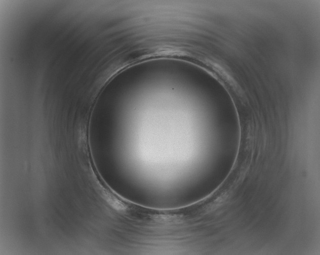 X0000072931281200607211117
