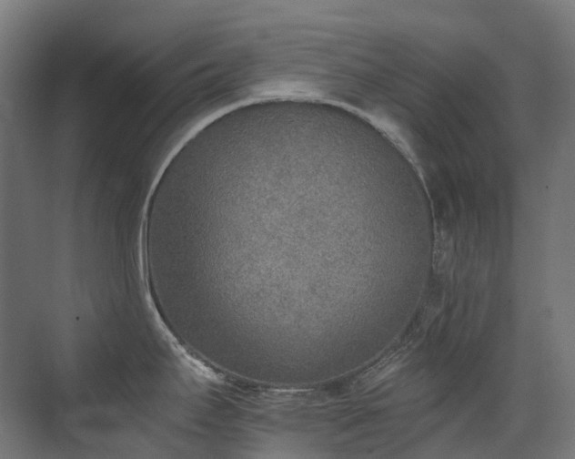 X0000072931295200607211117