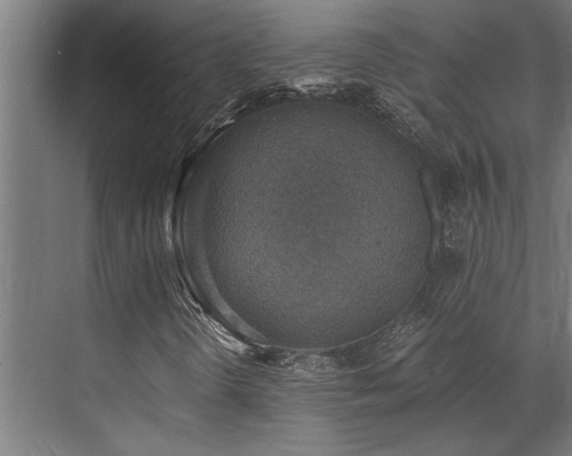 X0000072931298200607211116