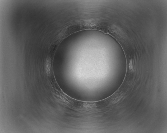 X0000072931299200607211116