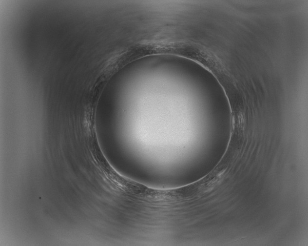 X0000072931300200607211116