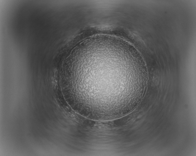 X0000072931301200607211116