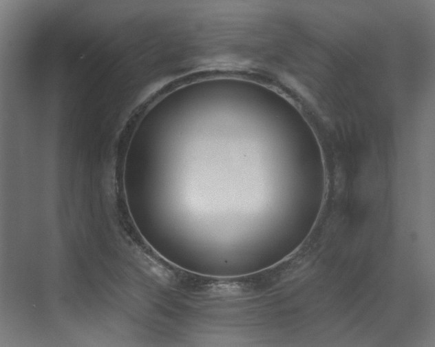 X0000072931315200607211117