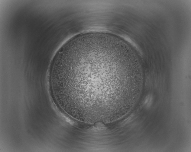 X0000072931325200607211117