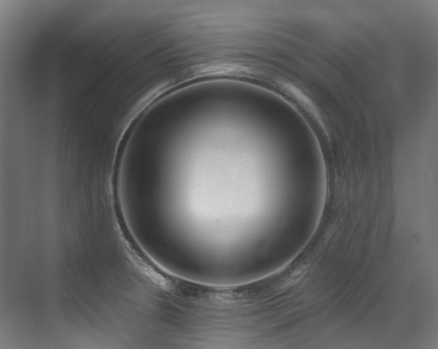 X0000072931330200607211117