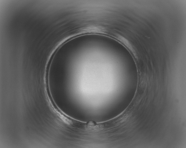 X0000072931339200607211117