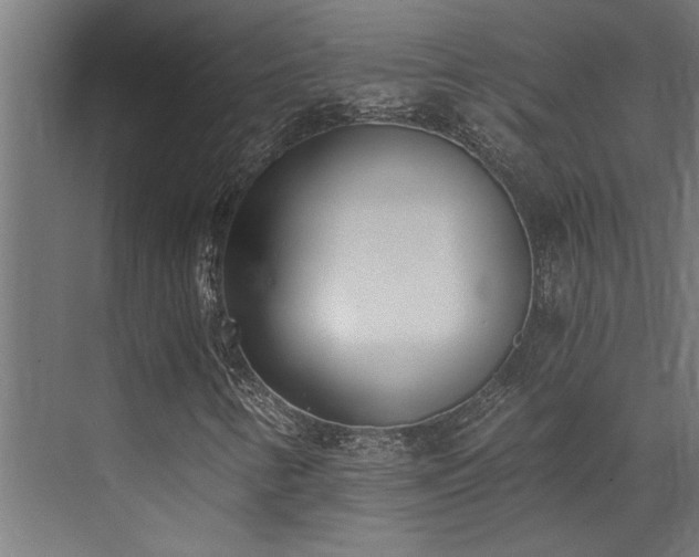 X0000072931346200607211116