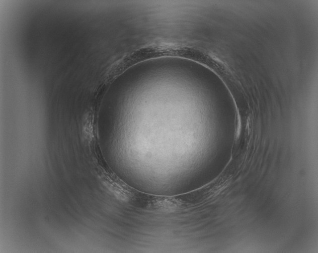 X0000072931348200607211116