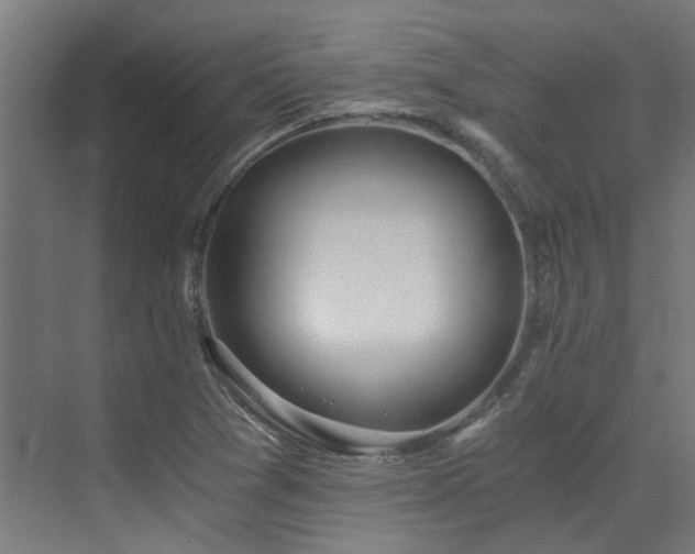 X0000072931361200607211116