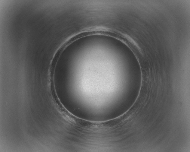 X0000072931364200607211116