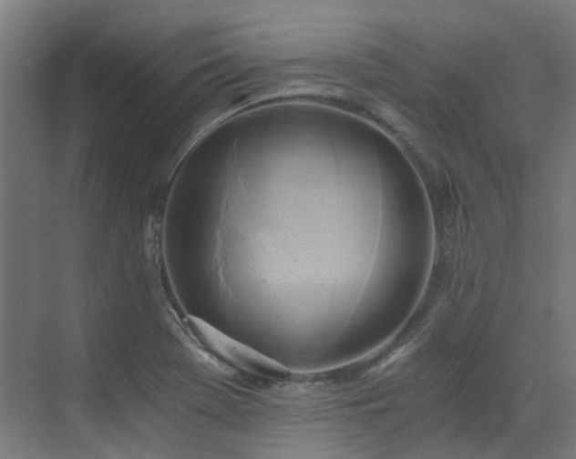 X0000072931369200607211116