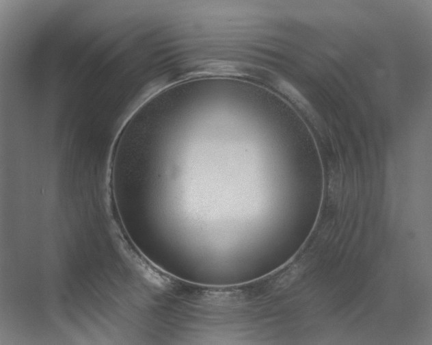 X0000072931378200607211116