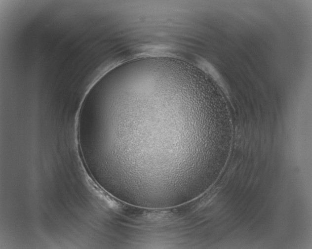 X0000072931386200607211116