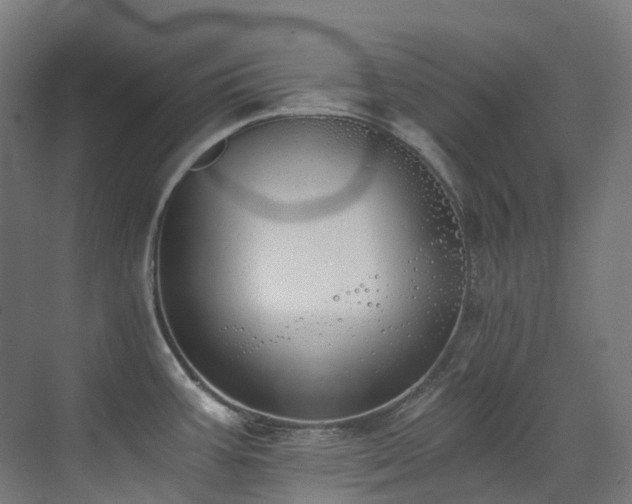 X0000072931387200607211116