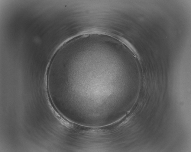 X0000072931388200607211116