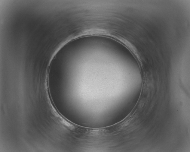 X0000072931390200607211116