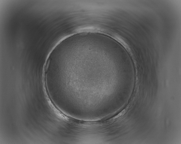 X0000072931392200607211116
