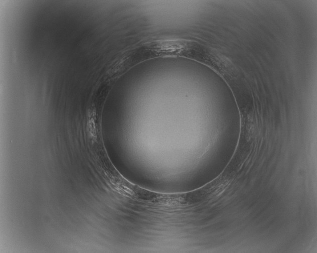 X0000072931394200607211115