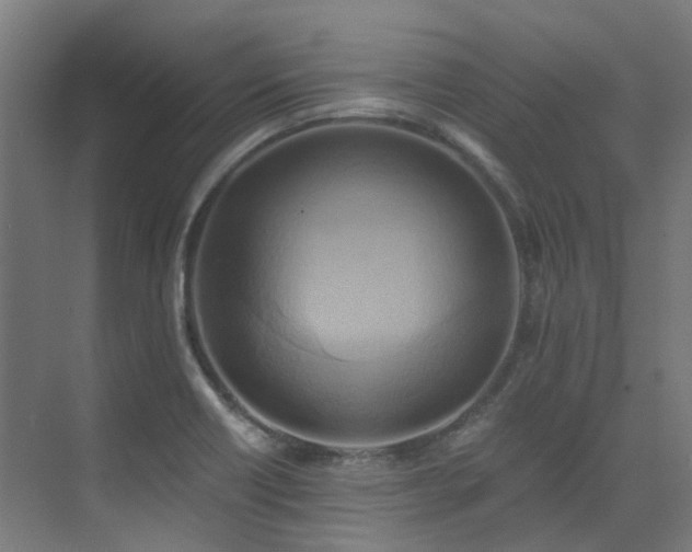 X0000072931418200607211115