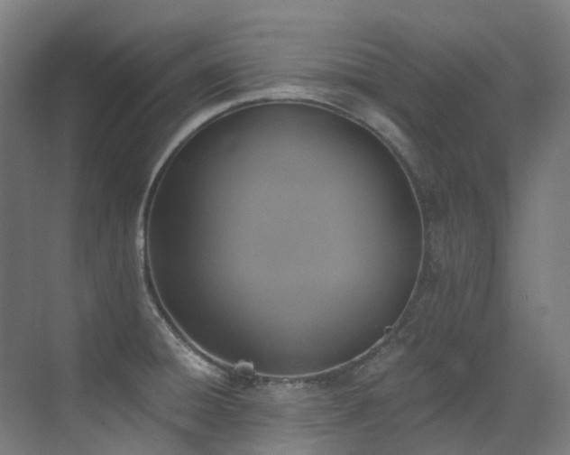 X0000072931428200607211115