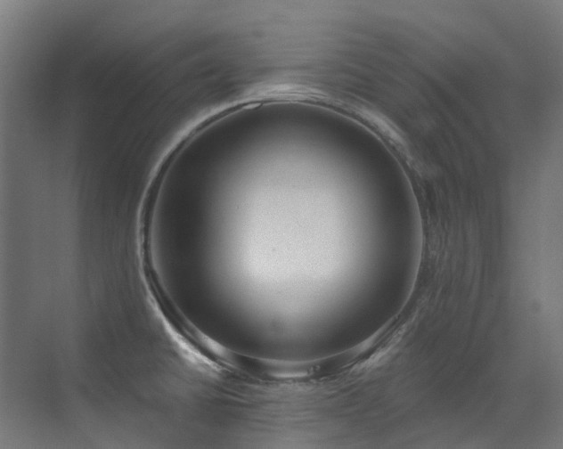 X0000072931430200607211115