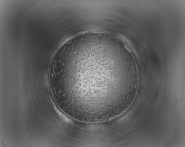 X0000072931433200607211115