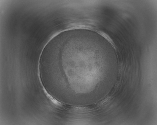 X0000072931439200607211116
