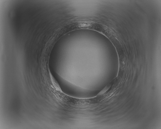 X0000072931441200607211115