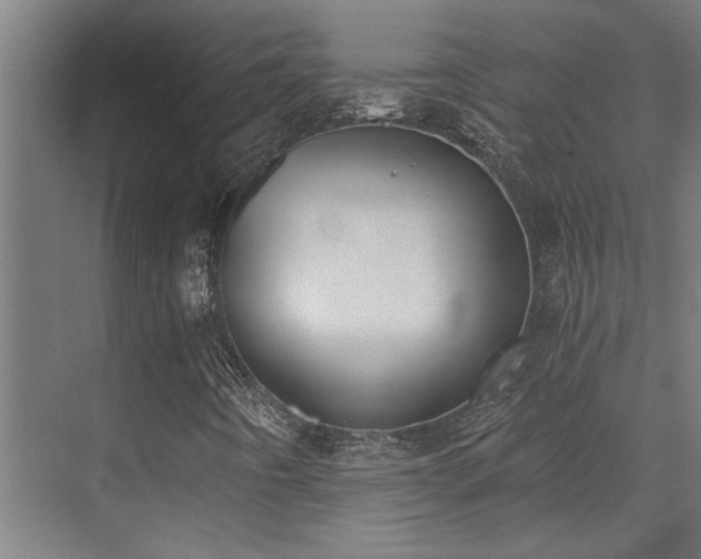 X0000072931442200607211115