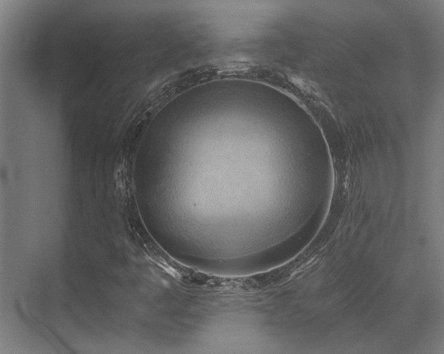 X0000072931445200607211115