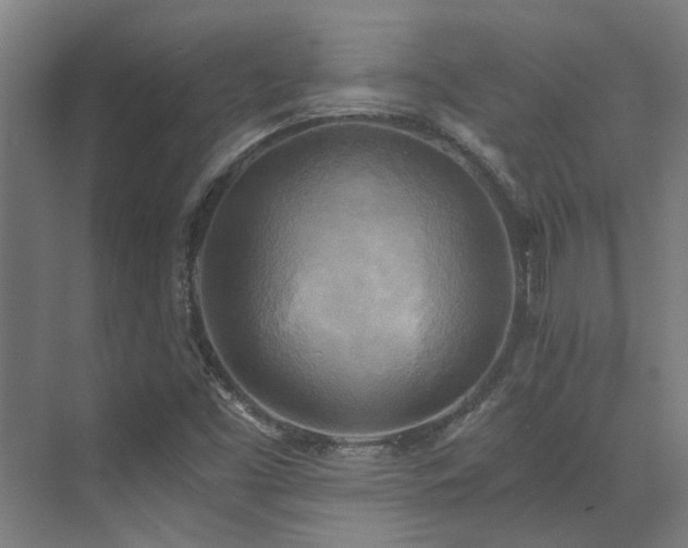 X0000072931453200607211115