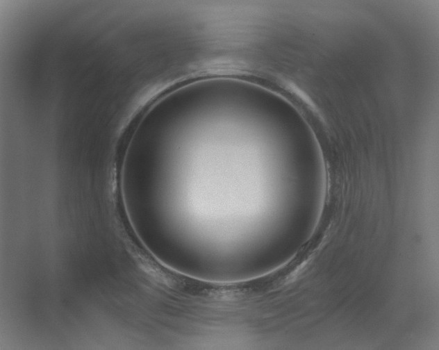 X0000072931461200607211114
