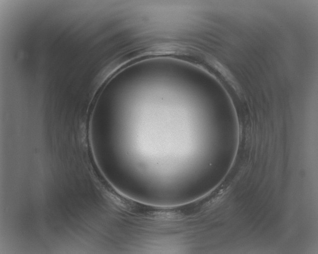 X0000072931465200607211114