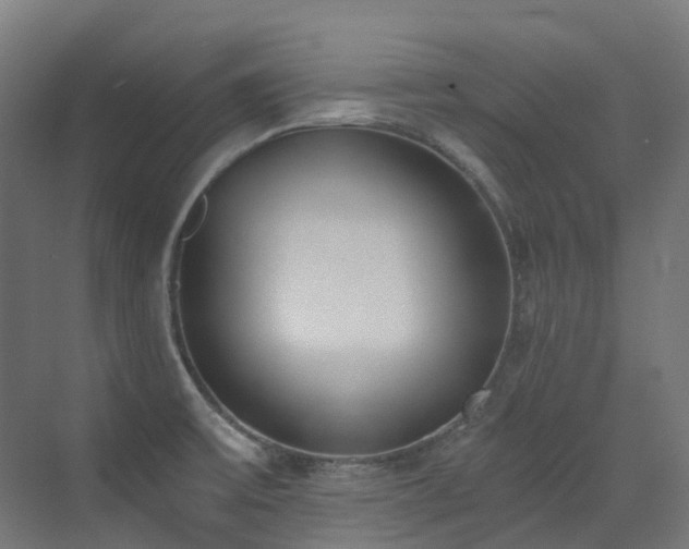 X0000072931475200607211114